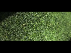 Aonori Seaweed Flakes